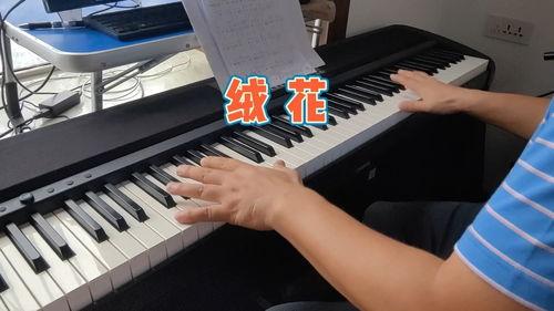 成人钢琴演出视频推荐,精彩演出视频推荐，感受音乐的魅力