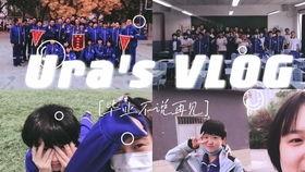 成人礼经典视频模板