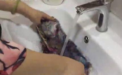 洗屁股成人正确方法视频,成人卫生保健指南