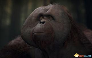 变成人猿的视频大全,揭秘人类进化历程的震撼视频大全