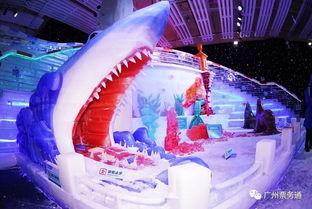 冰雕化成人形视频大全图片,奇幻视觉盛宴背后的艺术魅力