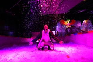 冰雕化成人形视频大全图片,奇幻视觉盛宴背后的艺术魅力