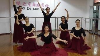 独舞成人伴舞教学视频大全,全方位舞蹈教程解析