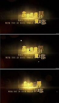 成人色片视频制作素材