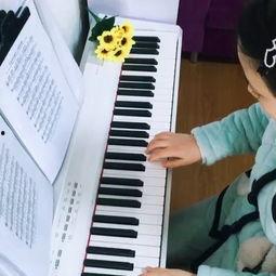 成人学钢琴乐理视频教学,跟随视频轻松掌握音乐基础