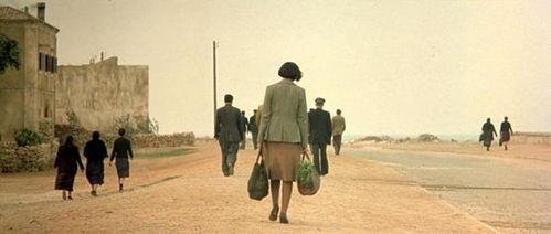 美围成人性视频,探索人类欲望的视觉盛宴