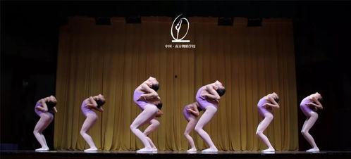 跳舞成人步伐视频大全,全方位成人舞蹈步伐视频集锦解析