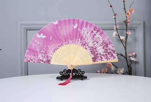 成人折扇舞蹈教程视频,优雅转身，舞动扇韵之美