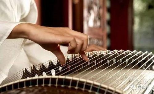 成人古筝高级指法视频,视频教程深度解析