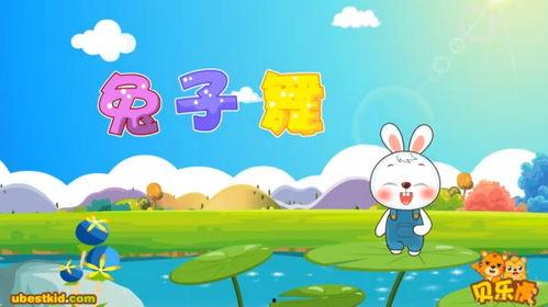 成人律动兔子舞教学视频