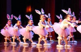 成人律动兔子舞教学视频