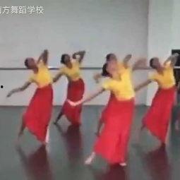 傣族舞蹈视频完整版成人,从视频完整版看民族文化的传承与魅力