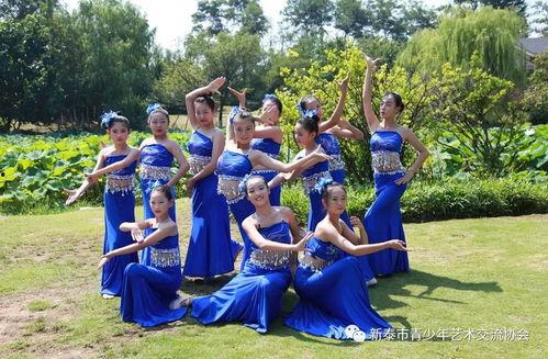 傣族舞蹈视频完整版成人,从视频完整版看民族文化的传承与魅力