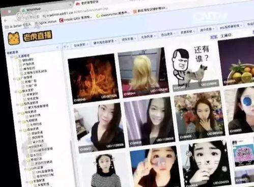 成人狐狸视频播放,揭秘神秘诱惑背后的故事