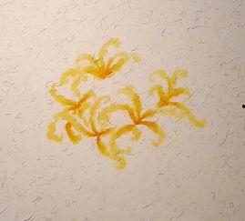 成人珍珠贴画教程视频,轻松打造优雅家居装饰