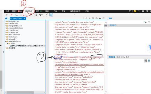 成人xi视频浏览器,成人娱乐内容的新视角