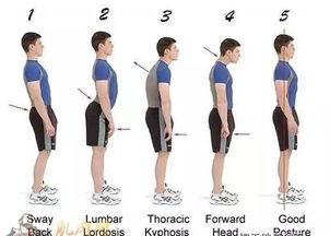 成人抬头锻炼方法视频,跟随视频教程，告别颈部酸痛