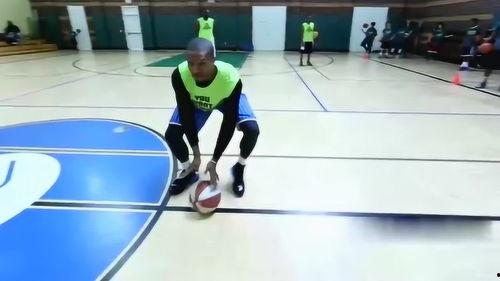 成人练习课视频,轻松入门，高效健身指南