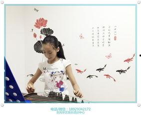 成人初学民乐教学视频,成人零基础入门教学视频概览