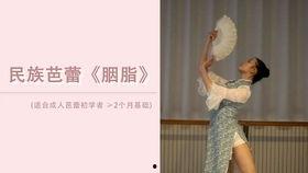 成人初学民乐教学视频,成人零基础入门教学视频概览