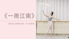 成人初学民乐教学视频,成人零基础入门教学视频概览