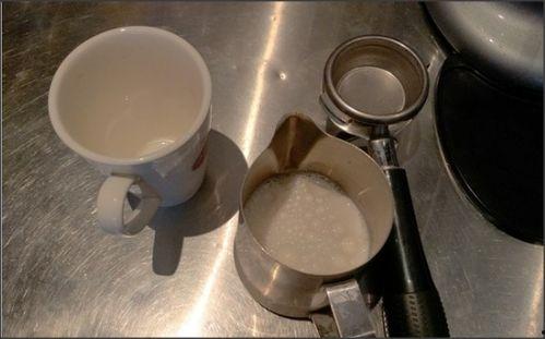 成人泡牛奶正确方法视频,轻松掌握成人泡牛奶的正确方法