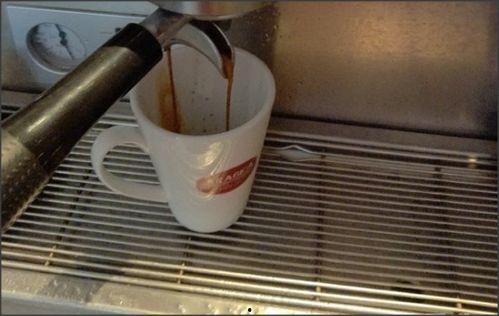 成人泡牛奶正确方法视频,轻松掌握成人泡牛奶的正确方法