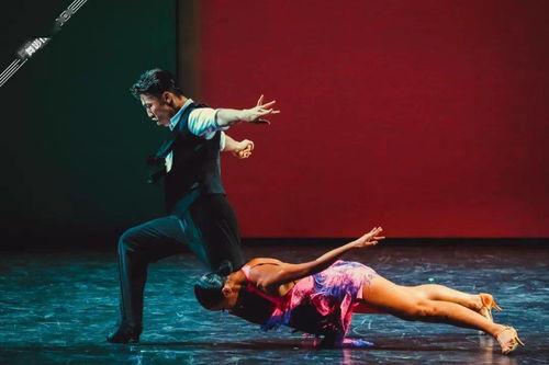 奉献主题成人舞蹈视频大全,共筑和谐梦——成人舞蹈奉献主题视频精选